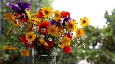 Картинки 1366х768 с цветами на стол