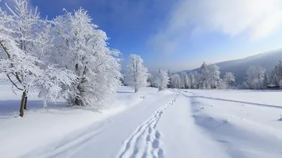 Картинки зимы на телефон - 75 фото