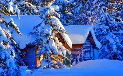 Обои Зимняя природа, картинки - Обои для рабочего стола Зимняя природа фото  из альбома: (природа)