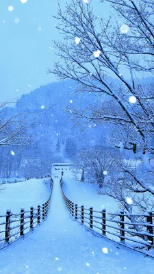 Заставка на рабочий стол зима природа - 50 фото