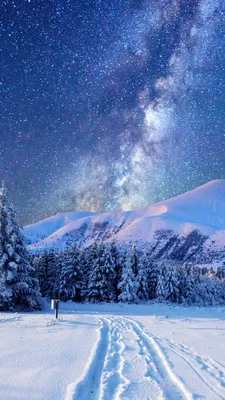 Winter Fantasy iPhone Wallpapers - Wallpaper Cave