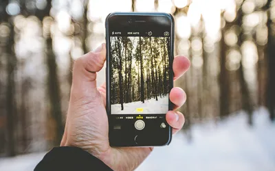 author unknown // aesthetic wallpaper iphone christmas wallpaper iphone  wallpaper iphone 12 wallpaper iphone 11 wa… | Зимние картинки, Фоновые  рисунки, Зимние сцены