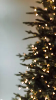 author unknown // #обои #обоинателефон #обоидлятелефона #море #океан #снег  #зима… | Christmas tree wallpaper, Christmas lights wallpaper, Wallpaper  iphone christmas