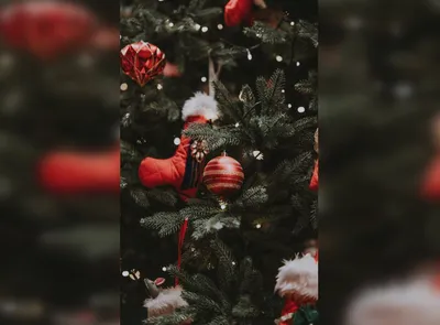 Прозрачный чехол с утолщёнными углами на iPhone 14 Pro Max :: Зимние птички  (принт 184) Creative новогодний бесцветный ‣ Цена 270 грн ‣ Купить в  интернет-магазине Каста ‣ Киев, Одесса, Харьков ‣ Доставка по всей  Украине!(#257626396)