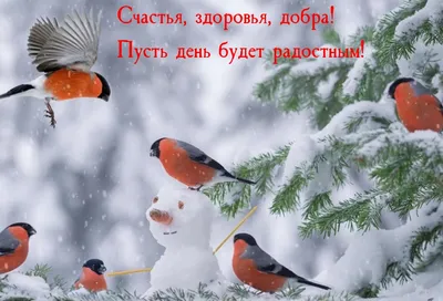Красивая зима картинки - 65 фото