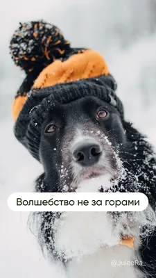 Открытки зима красивые - 73 фото