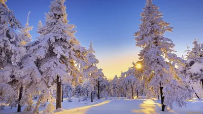 Обои на рабочий стол зима (96 лучших фото)