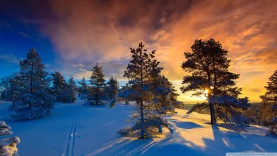Обои зима 1920x1080, зимние картинки 1920x1080, фото зима скачать