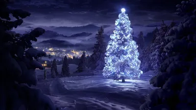 Winter Beautiful Hd Desktop Wallpaper 1567x2048 Background, Winter Scenery,  Hd Photography Photo, Cloud Background Image And Wallpaper for Free Download