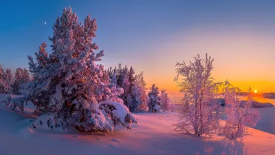 Обои на рабочий стол зима природа - 49 фото