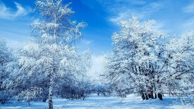 Подарки — новогодние обои на рабочий стол — Abali.ru