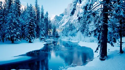 Зима - In winter - обои живые
