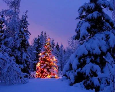 Beautiful winter landscapes (100 wallpapers) » Desktop wallpapers,  beautiful pictures. Daily update