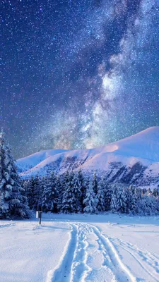Beautiful Winter Wallpapers -4(зимние обои)