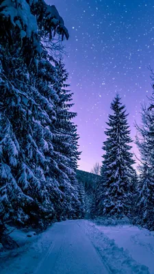 100 зимних обоев на компьютер и телефон | Canva | Дзен