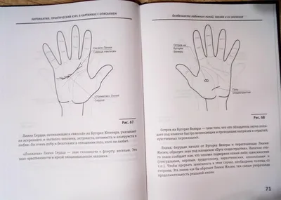 Холмы на ладони, на которые следует ориентироваться в попытках расшифровать  линии богатства | Хиромантия, Карты таро, Астрология