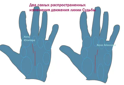 Иллюстрация 8 из 19 для Хиромантия. Практический курс в картинках с  описанием - Андрей Десни | Лабиринт - книги. Источник: Елена Бондаренко  (Данилова)