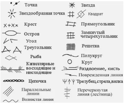 фото линий на руке и их значение | Хиромантия, Руки, Линия