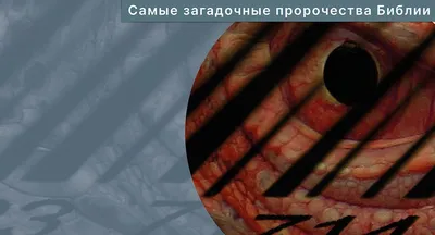 Как любовь к винтажной одежде помогла красноярке сменить скучную работу на  дело жизни - 22 октября 2023 - НГС24
