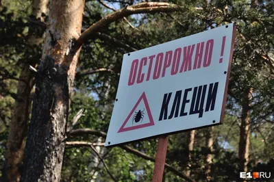 Воскресение Христа | Купить икону из янтаря «Воскресение Христа» в Украине  — UKRYANTAR