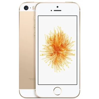 Caviar выпустила золотые iPhone 13 Pro Max по цене до 3 095 000 рублей