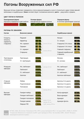 Звания на погонах в картинках фотографии