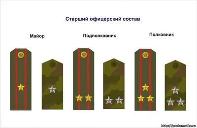 Какие бывают воинские звания и погоны? - Праздники - Почемучка - Библиотека  - ПочемуЧка - Сайт для детей и их родителей