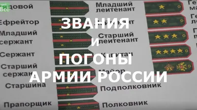Приказ МВД об утверждении Правил ношения сотрудниками органов внутренних  дел форменной одежды, знаков различия и ведомственных знаков отличия -  Российская газета