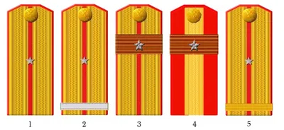Одна звезда на погонах (75 фото) - картинки modnica.club