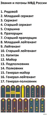 Пагоны: истории из жизни, советы, новости, юмор и картинки — Лучшее,  страница 13 | Пикабу